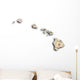 Map Hawaii Wall Mural