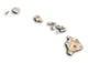 Map Hawaii Wall Mural