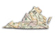 Map Virginia Wall Mural