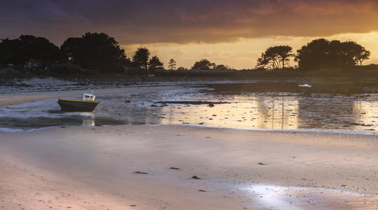 Low Tide Wall Mural