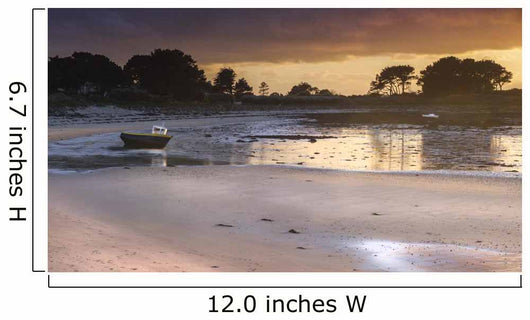 Low Tide Wall Mural