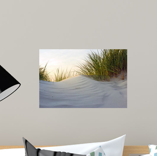 Dune Evening Light