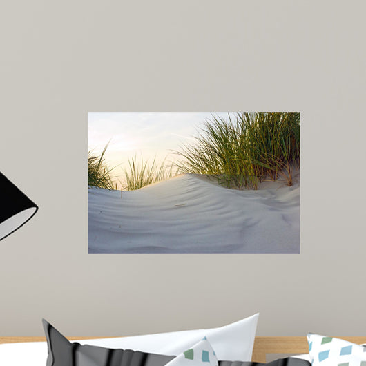 Dune Evening Light