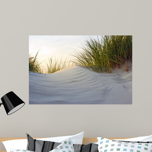 Dune Evening Light