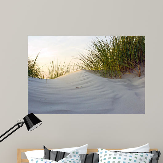 Dune Evening Light
