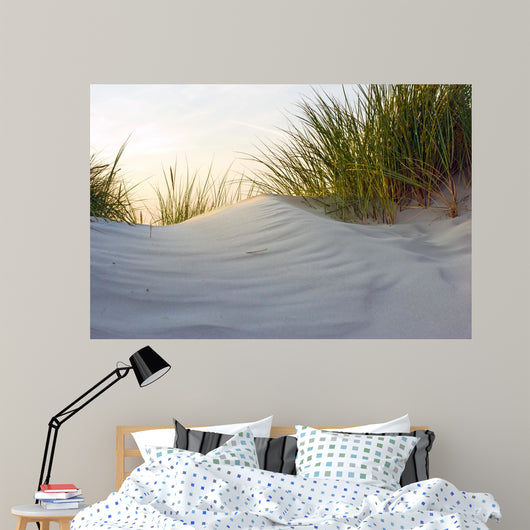 Dune Evening Light