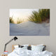 Dune Evening Light