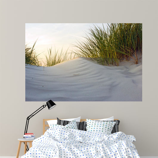 Dune Evening Light