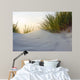 Dune Evening Light
