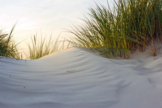 Dune Evening Light