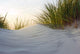 Dune Evening Light