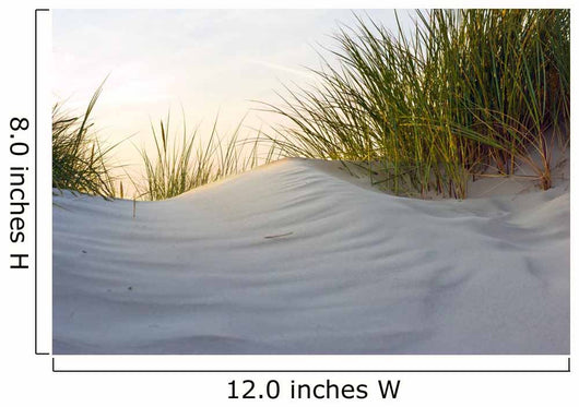 Dune Evening Light