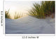 Dune Evening Light