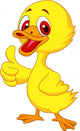 Cute baby duck cartoon thumb up Wall Decal