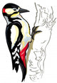 woodpecker Wall Decal