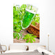 Waldmeister Bowle Wall Mural