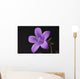 Close-up of violet with dew Wall Mural