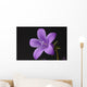 Close-up of violet with dew Wall Mural