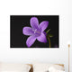 Close-up of violet with dew Wall Mural