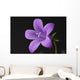 Close-up of violet with dew Wall Mural