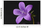 Close-up of violet with dew Wall Mural