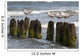 Seagulls Mole during Windy