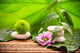 Spa Treatment