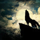 Wolf Silhouette Howling to