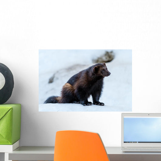Wolverine 1 Wall Mural