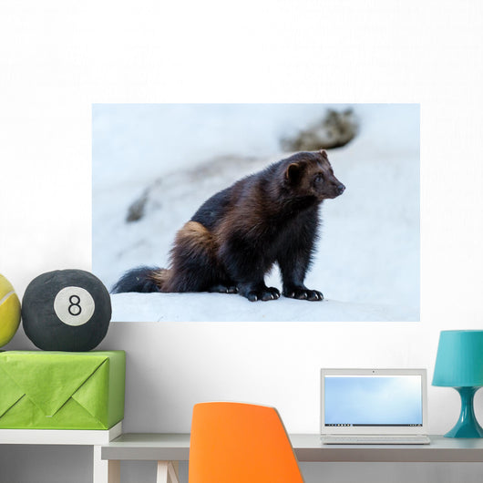 Wolverine 1 Wall Mural
