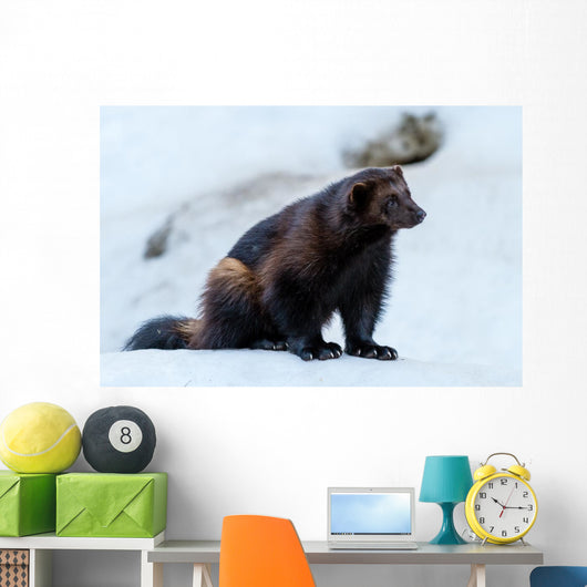 Wolverine 1 Wall Mural
