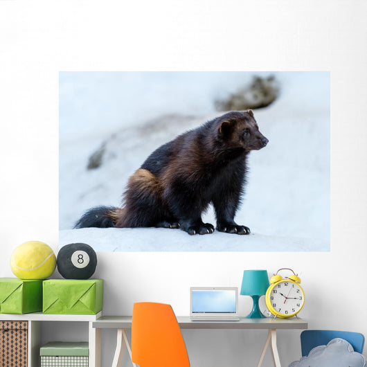 Wolverine 1 Wall Mural