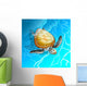 Turtle Blue Sea