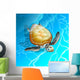 Turtle Blue Sea