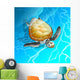 Turtle Blue Sea