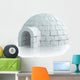 Igloo