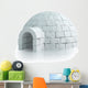 Igloo