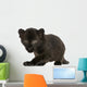 Black Leopard cub, 3 weeks old, staring and prowling Wall Mural