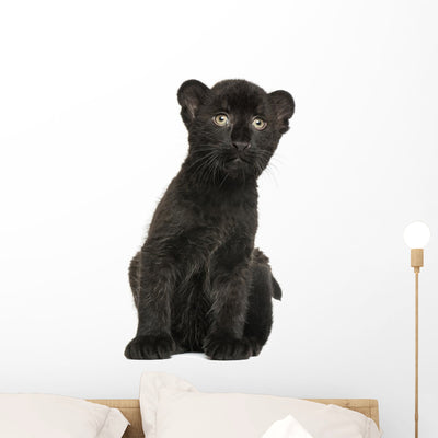 Black Leopard Cub Sitting Wall Decal shown on a wall
