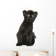 Black Leopard Cub Sitting, 3 Weeks Old, Isolated on White Wall Decal