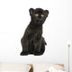 Black Leopard Cub Sitting, 3 Weeks Old, Isolated on White Wall Decal
