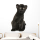 Black Leopard Cub Sitting, 3 Weeks Old, Isolated on White Wall Decal