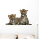 Two Spotted Leopard Cubs