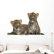Two Spotted Leopard Cubs