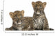 Two Spotted Leopard Cubs