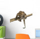 Spotted Leopard cub facing and prowling on a branch, 7 weeks old Wall Decal