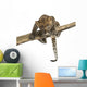 Spotted Leopard cub facing and prowling on a branch, 7 weeks old Wall Decal