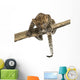 Spotted Leopard cub facing and prowling on a branch, 7 weeks old Wall Decal