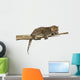 Spotted Leopard Cub Branch