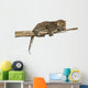 Spotted Leopard Cub Branch